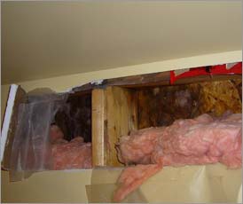 Water leak in wall cavity behind insulation